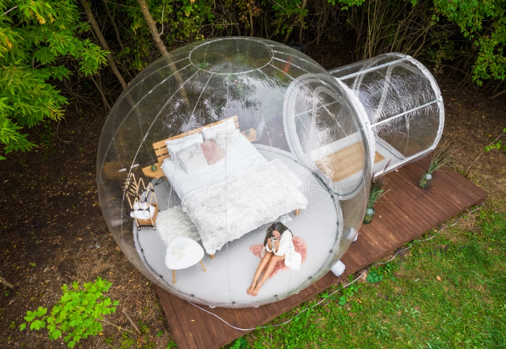 night sky bubble tent